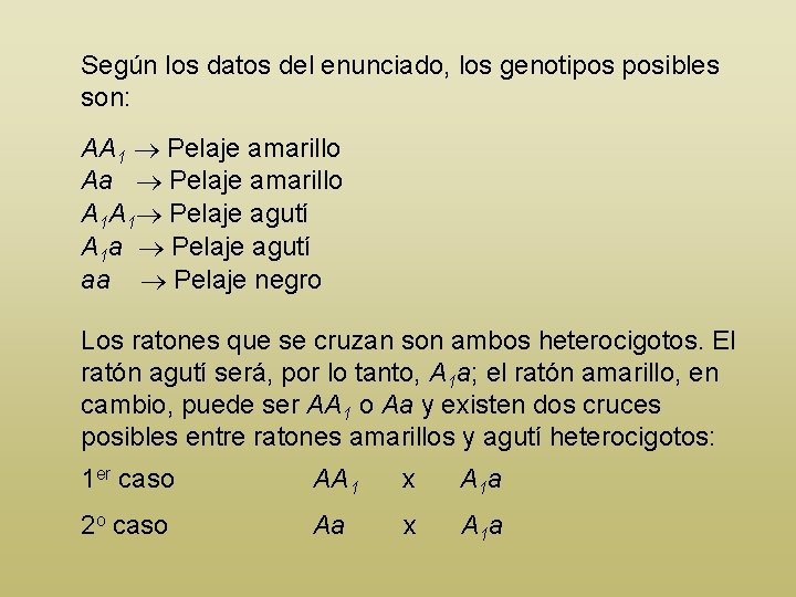 Según los datos del enunciado, los genotipos posibles son: AA 1 Pelaje amarillo Aa