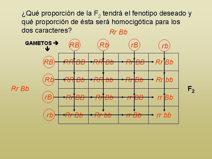 ¿Qué proporción de la F 2 tendrá el fenotipo deseado y qué proporción de