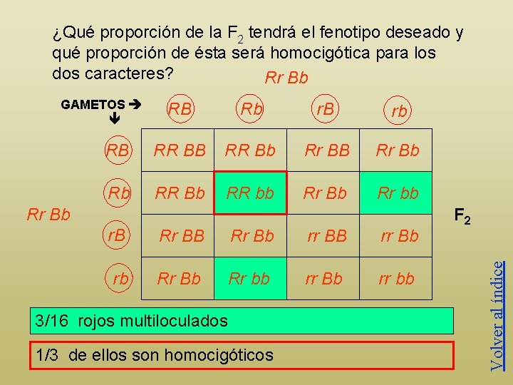 ¿Qué proporción de la F 2 tendrá el fenotipo deseado y qué proporción de
