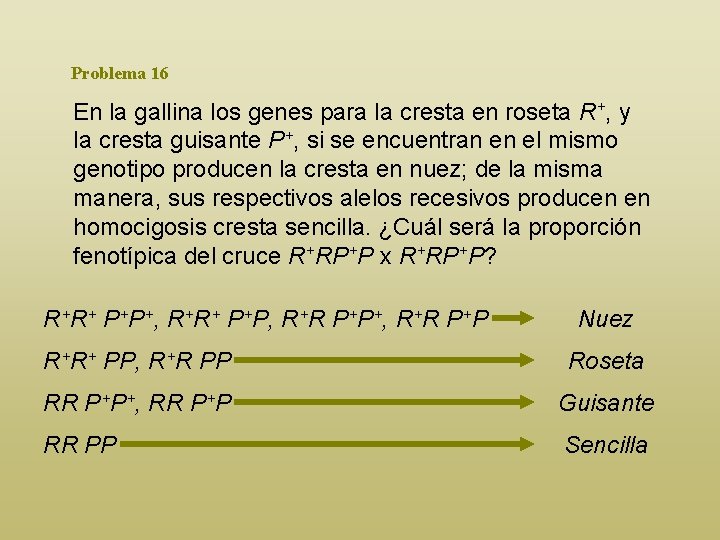 Problema 16 En la gallina los genes para la cresta en roseta R+, y