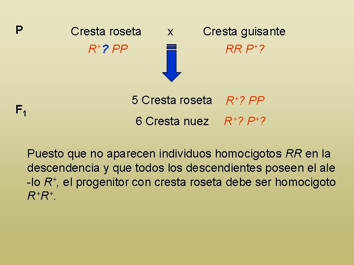 P F 1 Cresta roseta R+? PP x Cresta guisante RR P+? 5 Cresta