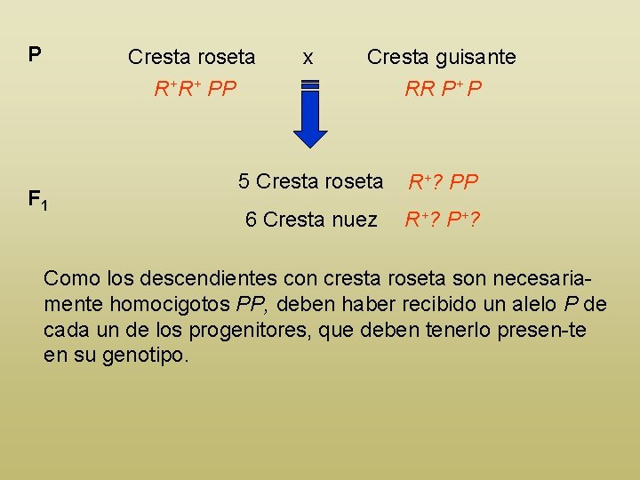 P Cresta roseta R+R+ PP F 1 x Cresta guisante RR P+ P 5