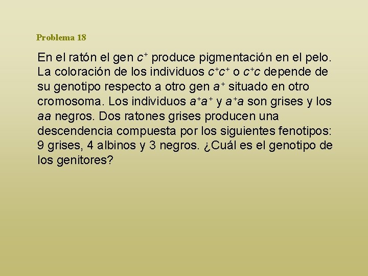 Problema 18 En el ratón el gen c+ produce pigmentación en el pelo. La