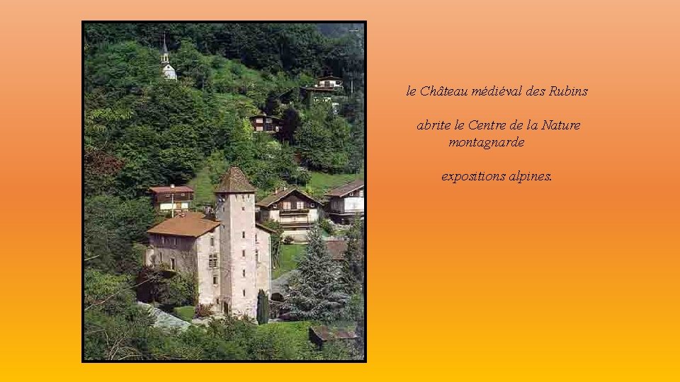 le Château médiéval des Rubins abrite le Centre de la Nature montagnarde expositions alpines.