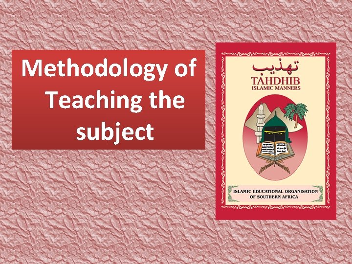 Methodology of Teaching the subject 