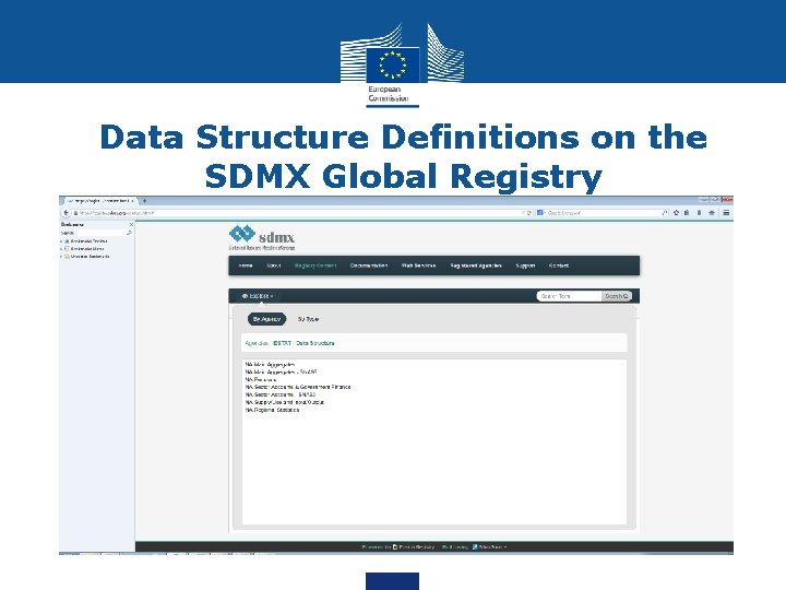 Data Structure Definitions on the SDMX Global Registry 