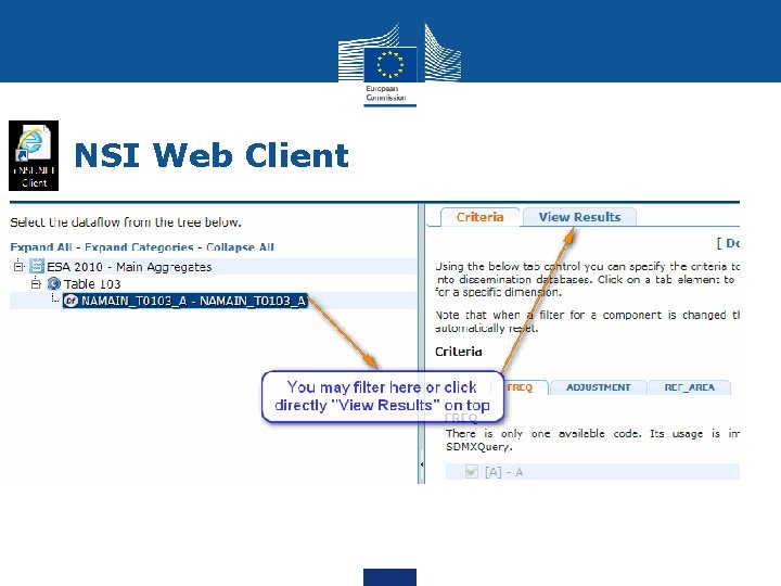 NSI Web Client 