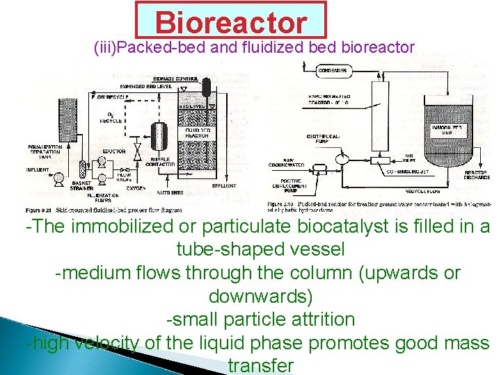 Bioreactor (iii)Packed-bed and fluidized bioreactor -The immobilized or particulate biocatalyst is filled in a