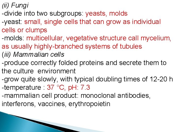 (ii) Fungi -divide into two subgroups: yeasts, molds -yeast: small, single cells that can