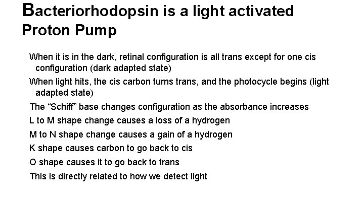 Bacteriorhodopsin is a light activated Proton Pump When it is in the dark, retinal