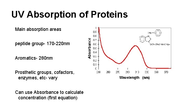 UV Absorption of Proteins Main absorption areas peptide group- 170 -220 nm Aromatics- 280