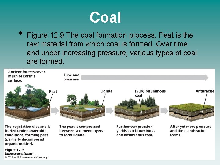 Coal • Figure 12. 9 The coal formation process. Peat is the raw material