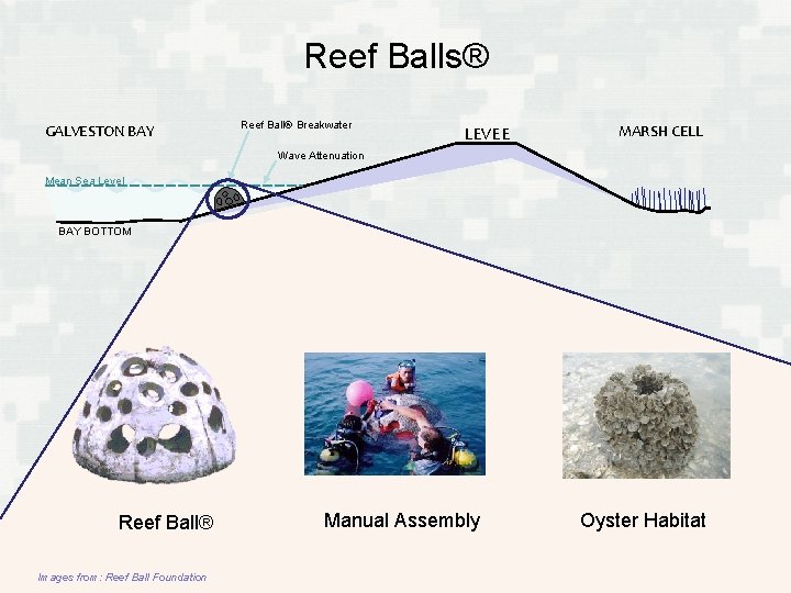 Reef Balls® GALVESTON BAY Reef Ball® Breakwater LEVEE MARSH CELL Wave Attenuation Mean Sea