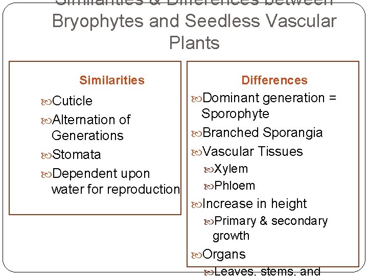 Plant Diversity II Ch 29 Lecture Objectives 1