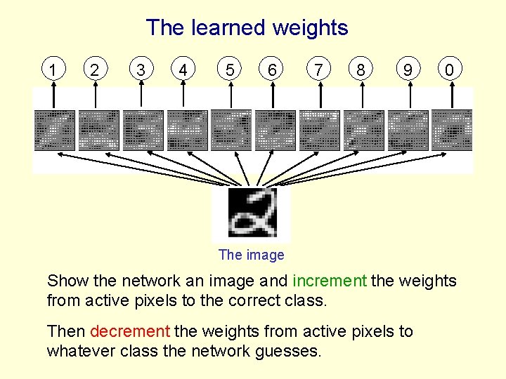 The learned weights 1 2 3 4 5 6 7 8 9 0 The