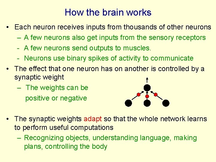 How the brain works • Each neuron receives inputs from thousands of other neurons