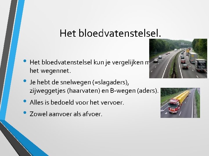 Het bloedvatenstelsel. • Het bloedvatenstelsel kun je vergelijken met het wegennet. • Je hebt