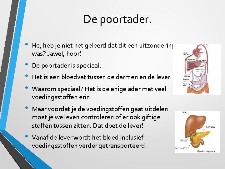 De poortader. • He, heb je niet net geleerd dat dit een uitzondering was?