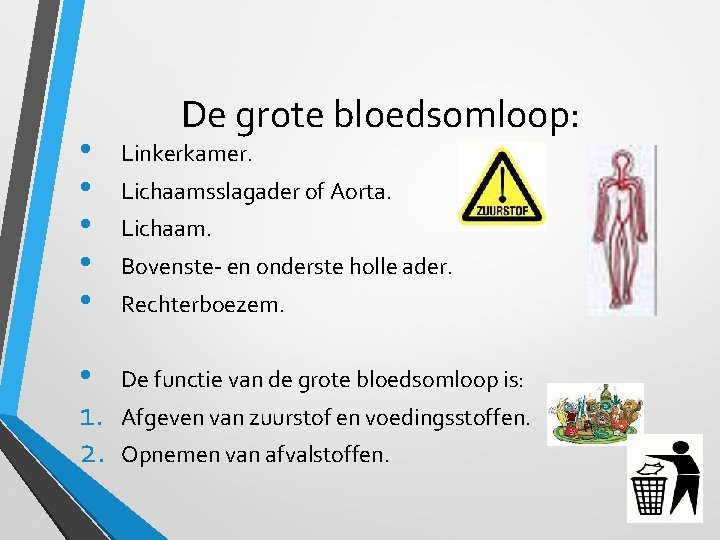 De grote bloedsomloop: • • • Linkerkamer. • 1. 2. De functie van de