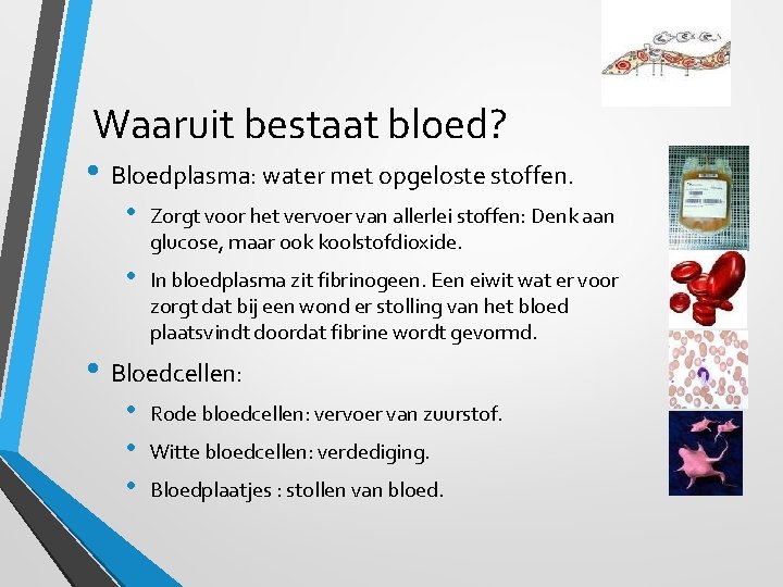 Waaruit bestaat bloed? • Bloedplasma: water met opgeloste stoffen. • Zorgt voor het vervoer