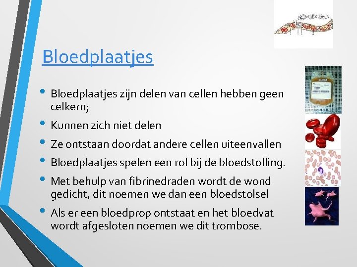 Bloedplaatjes • Bloedplaatjes zijn delen van cellen hebben geen celkern; • Kunnen zich niet
