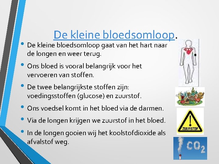 De kleine bloedsomloop. • De kleine bloedsomloop gaat van het hart naar de longen