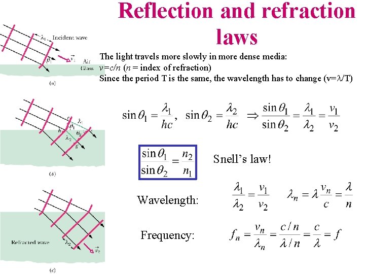 Reflection and refraction laws The light travels more slowly in more dense media: v=c/n