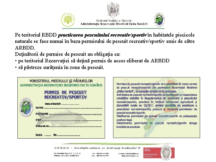 Pe teritoriul RBDD practicarea pescuitului recreativ/sportiv în habitatele piscicole naturale se face numai în