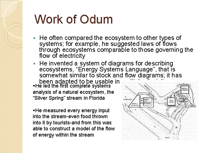 Work of Odum He often compared the ecosystem to other types of systems; for