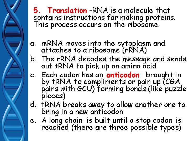5. 5. Translation -RNA is a molecule that contains instructions for making proteins. This