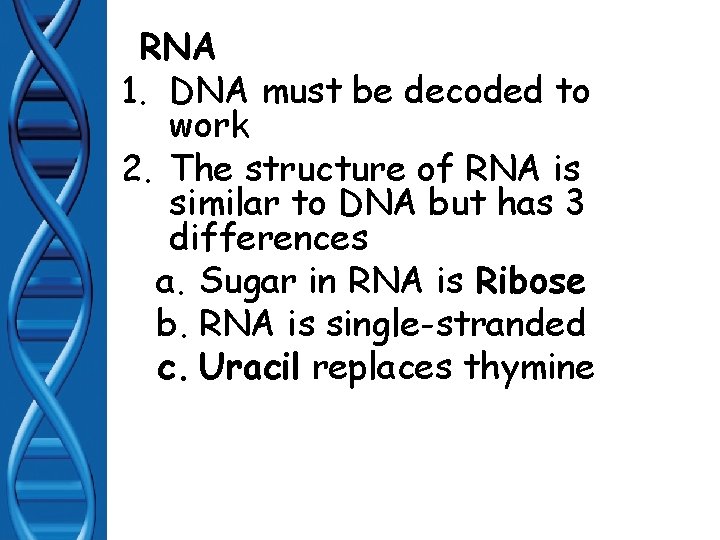 RNA 1. DNA must be decoded to work 2. The structure of RNA is