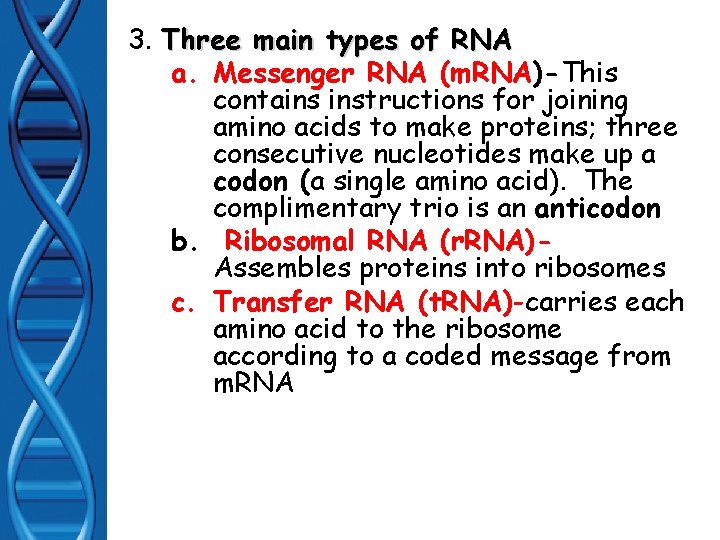 3. Three main types of RNA a. Messenger RNA (m. RNA)-This contains instructions for