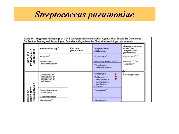 Streptococcus pneumoniae 