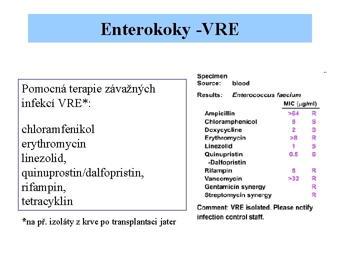 Enterokoky -VRE Pomocná terapie závažných infekcí VRE*: chloramfenikol erythromycin linezolid, quinuprostin/dalfopristin, rifampin, tetracyklin *na