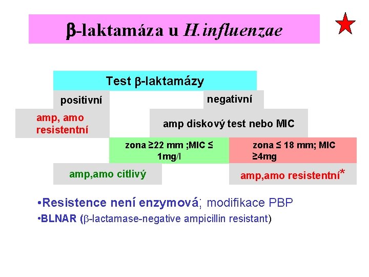 b-laktamáza u H. influenzae Test b-laktamázy negativní positivní amp, amo resistentní amp diskový test