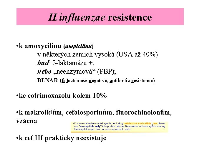 H. influenzae resistence • k amoxycilinu (ampicilinu) v některých zemích vysoká (USA až 40%)