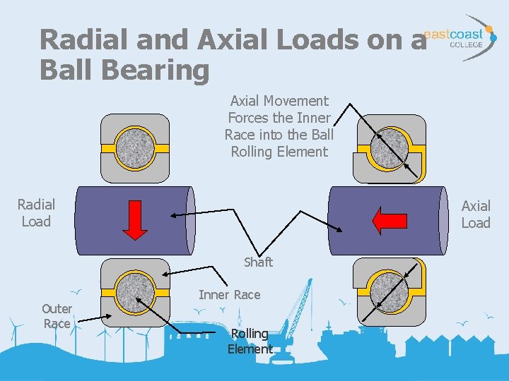 Radial and Axial Loads on a Ball Bearing Axial Movement Forces the Inner Race