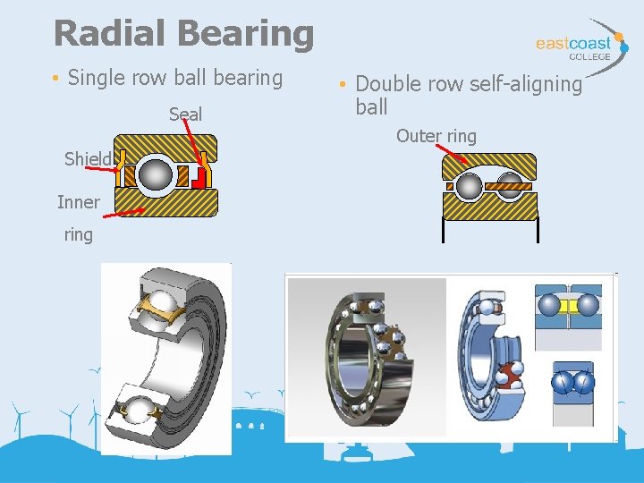 Radial Bearing • Single row ball bearing Seal Shield Inner ring • Double row