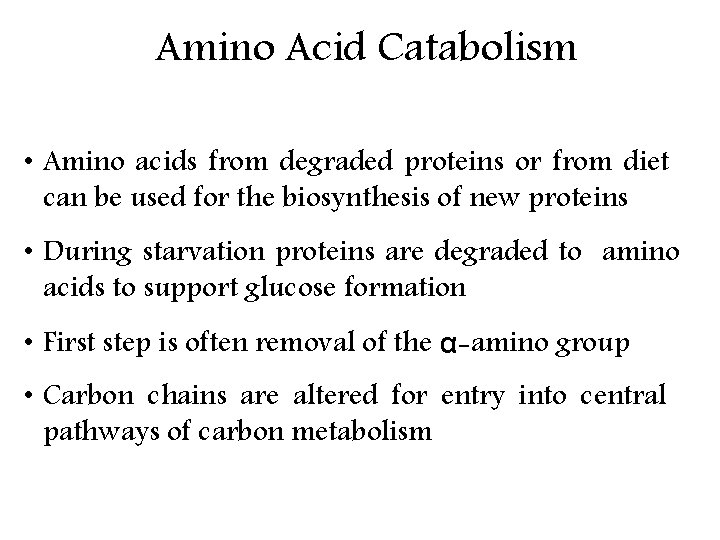Amino Acid Catabolism • Amino acids from degraded proteins or from diet can be