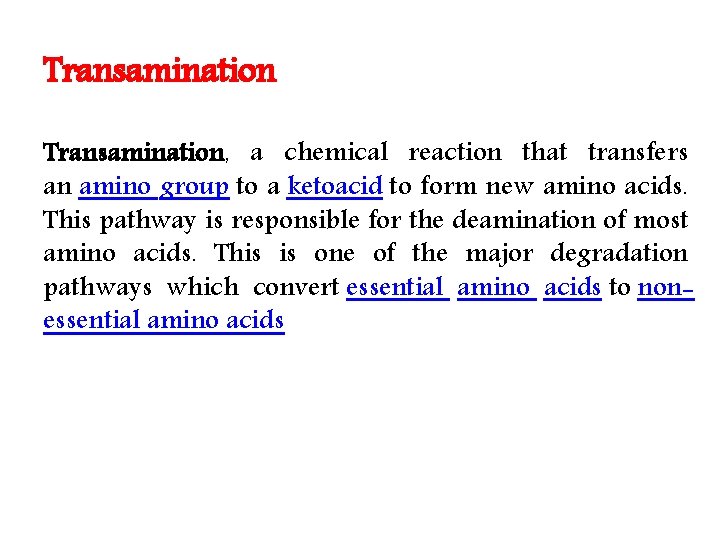 Transamination, a chemical reaction that transfers an amino group to a ketoacid to form