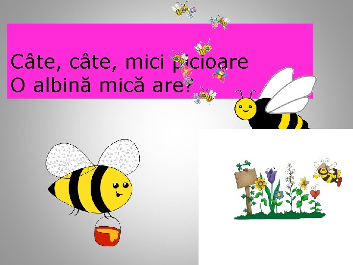 Câte, câte, mici picioare O albină mică are? 