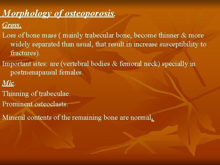 Morphology of osteoporosis. Gross. Loss of bone mass ( mainly trabecular bone, become thinner