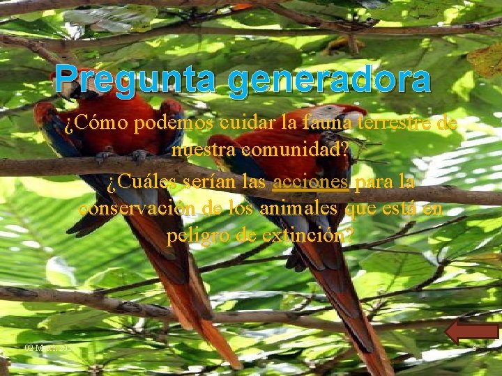 Pregunta generadora ¿Cómo podemos cuidar la fauna terrestre de nuestra comunidad? ¿Cuáles serían las