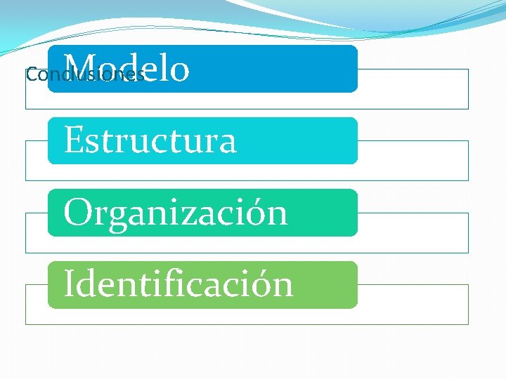 Modelo Conclusiones Estructura Organización Identificación 