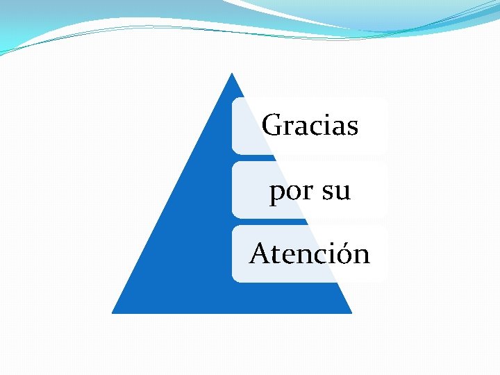 Gracias por su Atención 