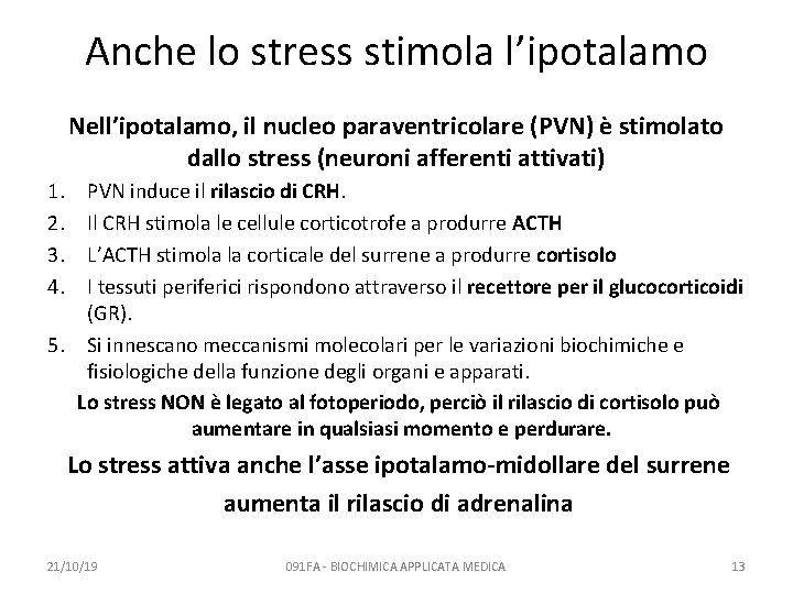 Anche lo stress stimola l’ipotalamo Nell’ipotalamo, il nucleo paraventricolare (PVN) è stimolato dallo stress