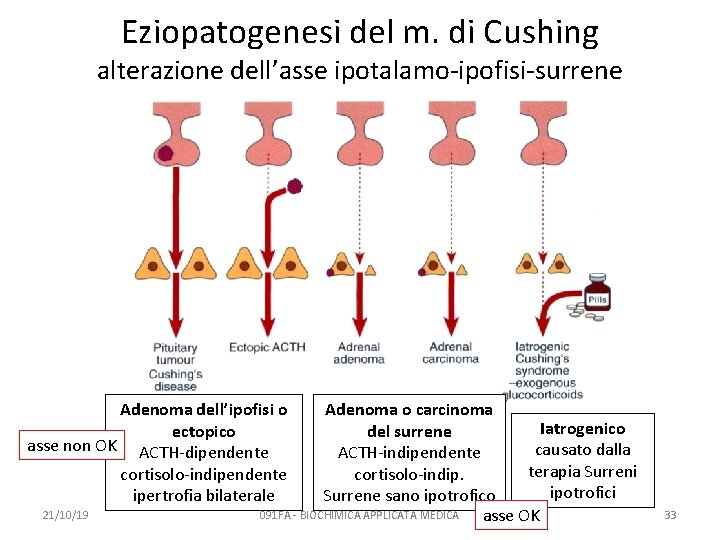Eziopatogenesi del m. di Cushing alterazione dell’asse ipotalamo-ipofisi-surrene Adenoma dell’ipofisi o ectopico asse non