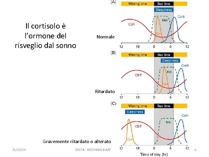 Il cortisolo è l’ormone del risveglio dal sonno Normale Ritardato Gravemente ritardato o alterato