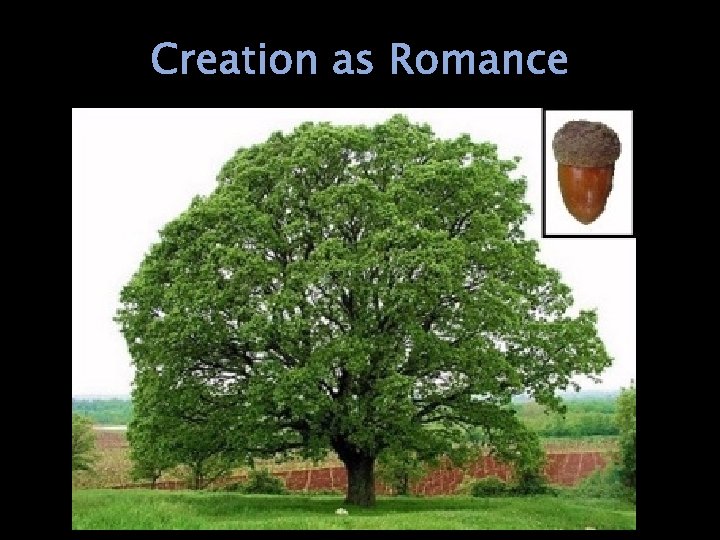 Creation as Romance 