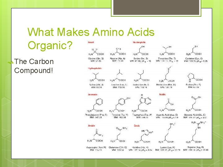 What Makes Amino Acids Organic? The Carbon Compound! 